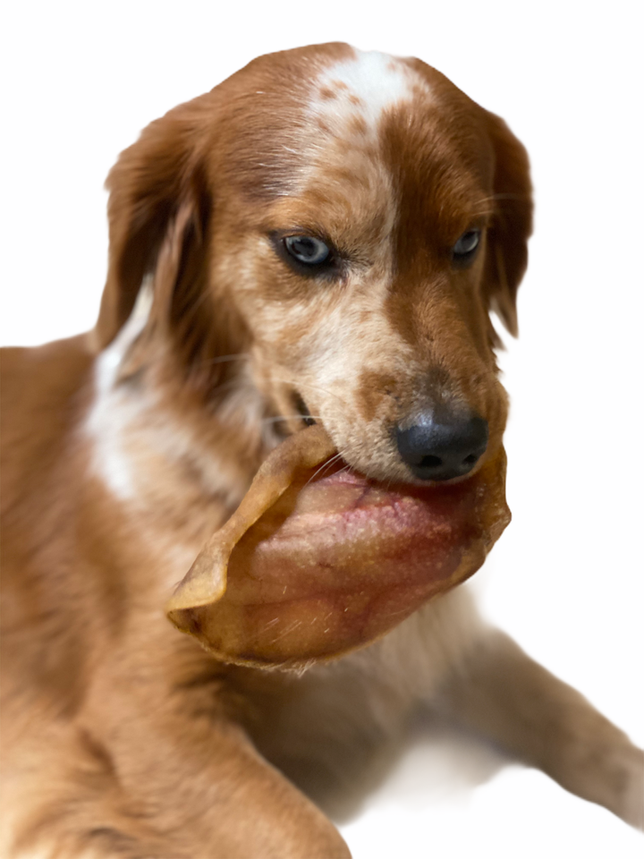 Live Pawsitive - Natural Pig Ears