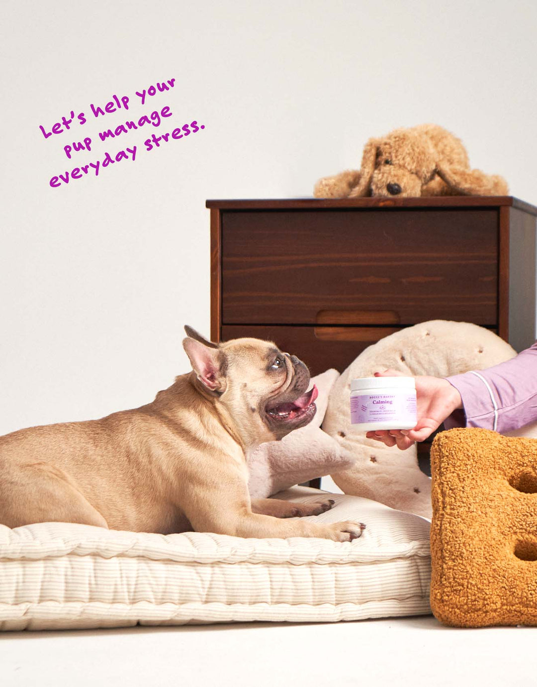 Bocce's Bakery - Calming Health Supplement for Dogs