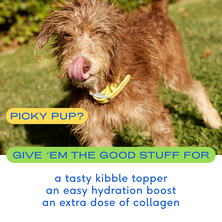 Native Pet - BEEF BROTH: Small