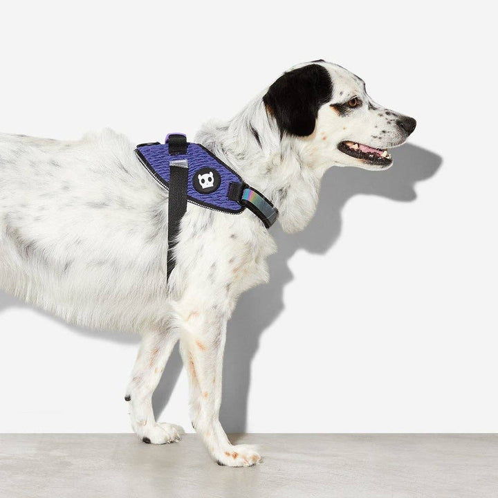 Zee.Dog - Wicked | FlyHarness: Size 3