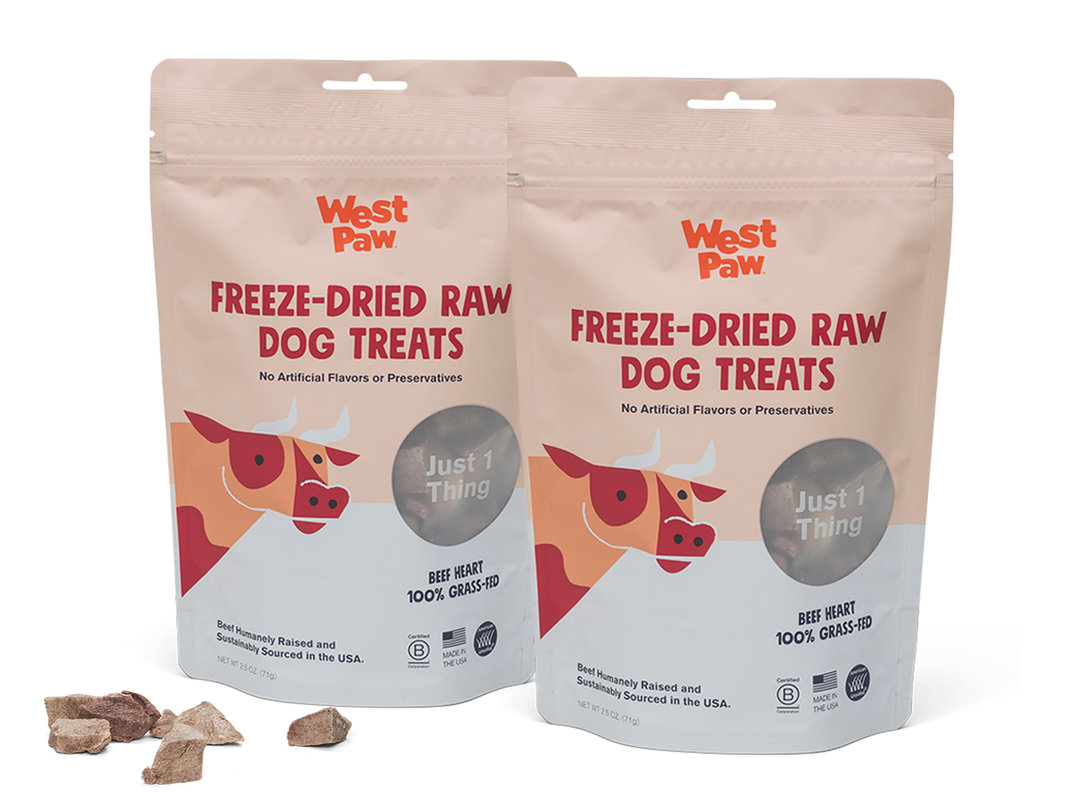 West Paw - Freeze-Dried Beef Heart Single-Ingredient Dog Treats: 2.5 Ounce
