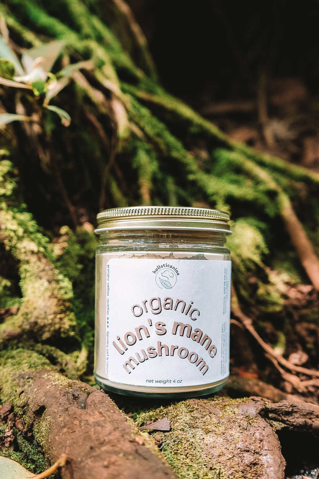 holisticanine - Organic Lion's Mane Mushroom Supplement