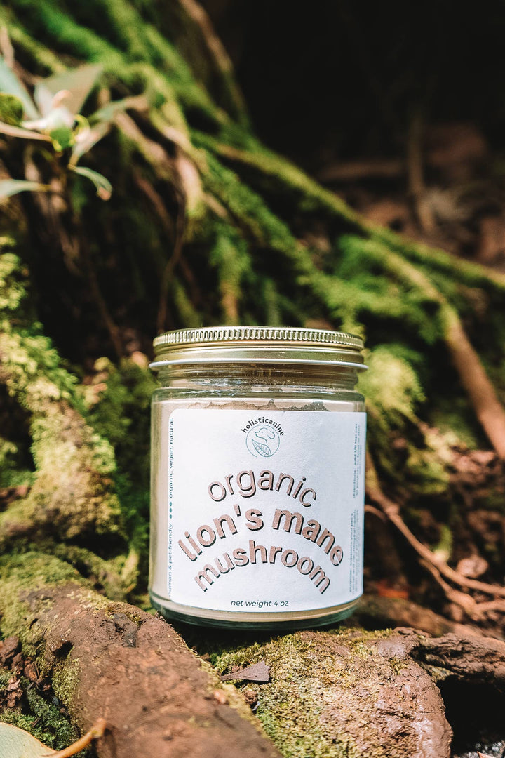 holisticanine - Organic Lion's Mane Mushroom Supplement