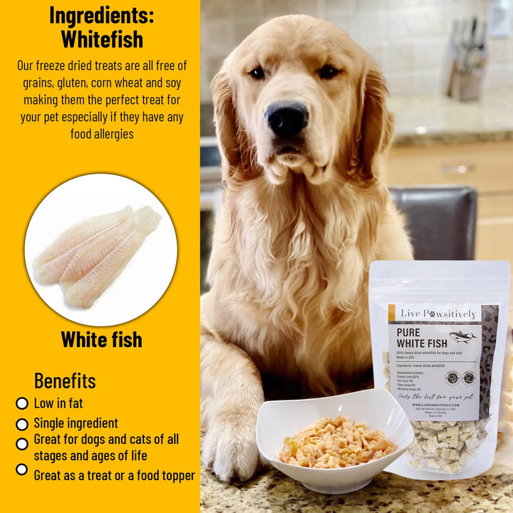 Live Pawsitive - White Fish Freeze Dried Dog/Cat Treat 3oz