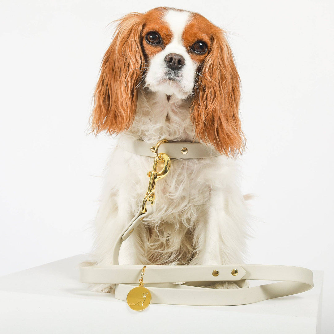 Cavology - LEASH LUXE - CREAM AND GOLD