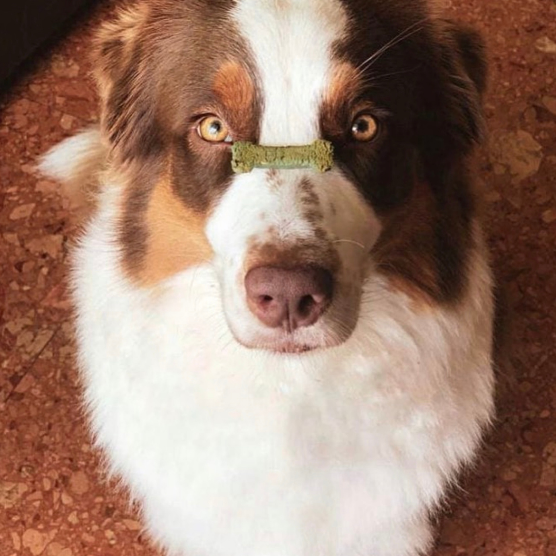 Cooka's Cookies - Acores Emerald - Natural Dog Treats with Superfoods