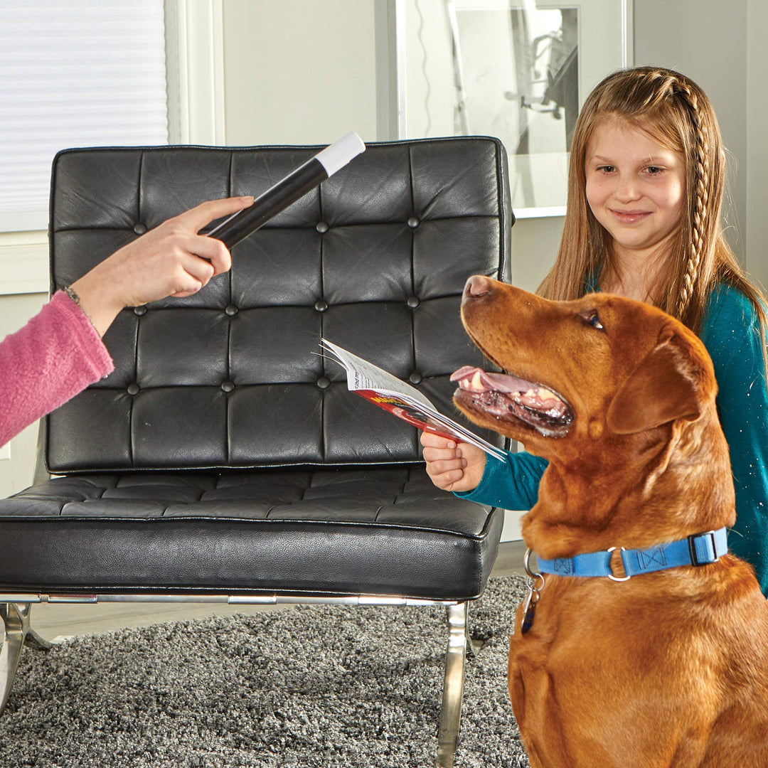 Hunger for Words and Brightkins - Brightkins™ Magic Trick! Training Set