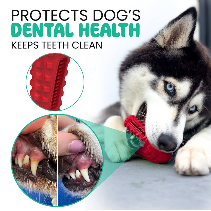 TOME DOG TOYS - SUPER DOG GIFT 3-Pack Dog Toys for Aggressive Chewers