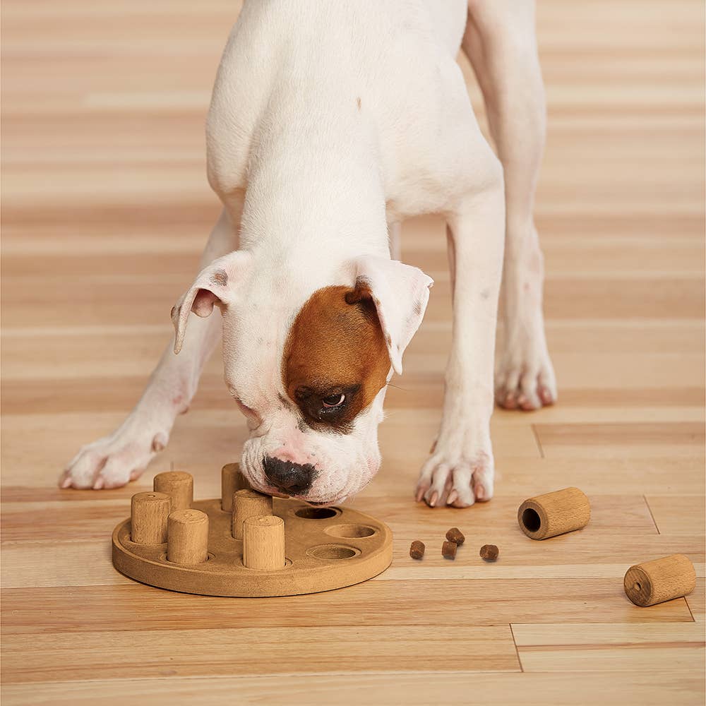 Pet Palette Distribution - Nina Ottosson Dog Smart Interactive Dog Puzzle Toy Composite