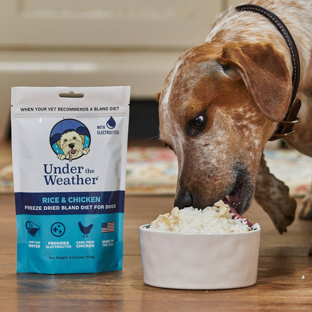 Under the Weather Pet - Chicken & Rice Bland Diet For Dogs