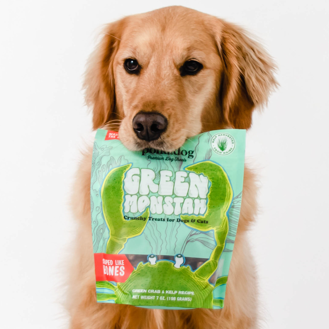 Pet Palette Distribution - Polkadog Green Monstah Bone Shaped Crunchy Dog & Cat Treats