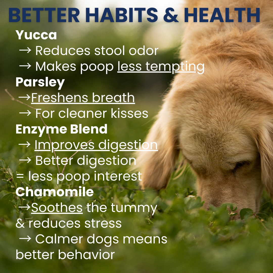 Under the Weather Pet - Poop Eating Deterrent - Coprophagia Soft Chews For Dogs