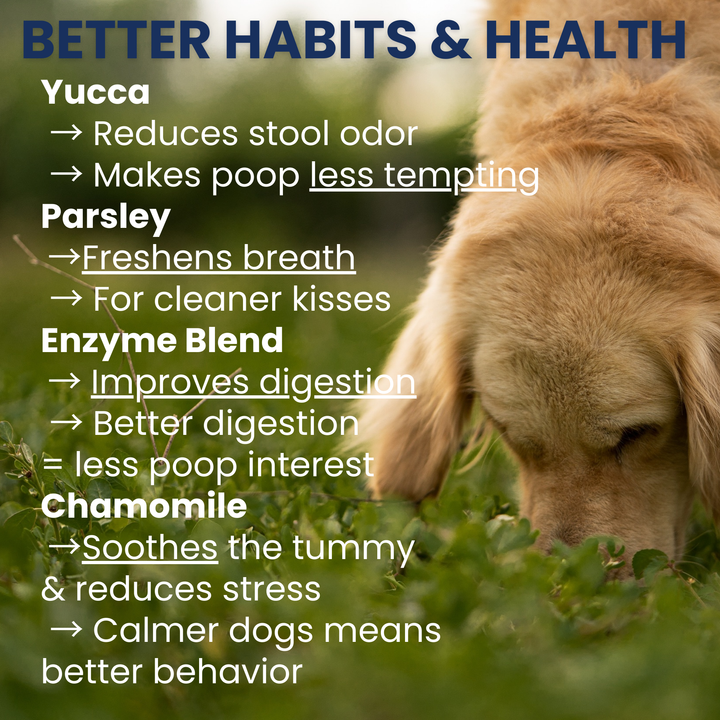 Under the Weather Pet - Poop Eating Deterrent - Coprophagia Soft Chews For Dogs