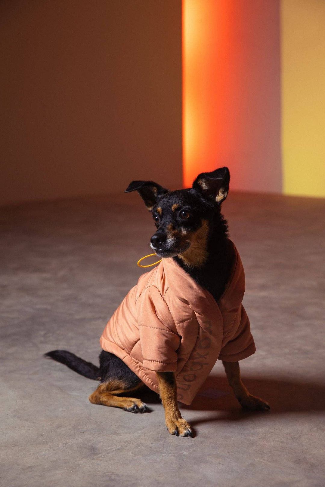 maxbone - Wrap Puffer Jacket : Berry / XXL