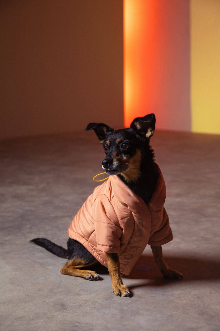 maxbone - Wrap Puffer Jacket : Berry / XXL