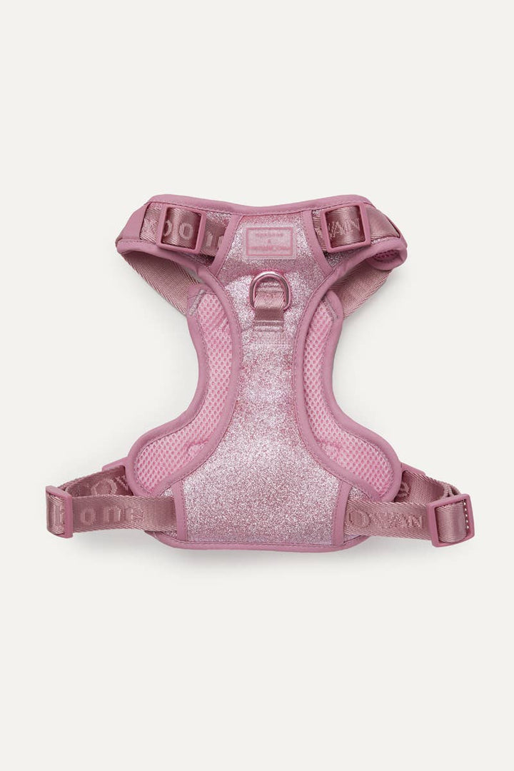 maxbone - Christian Cowan x maxbone Glitz Walk Set for Dogs: Small