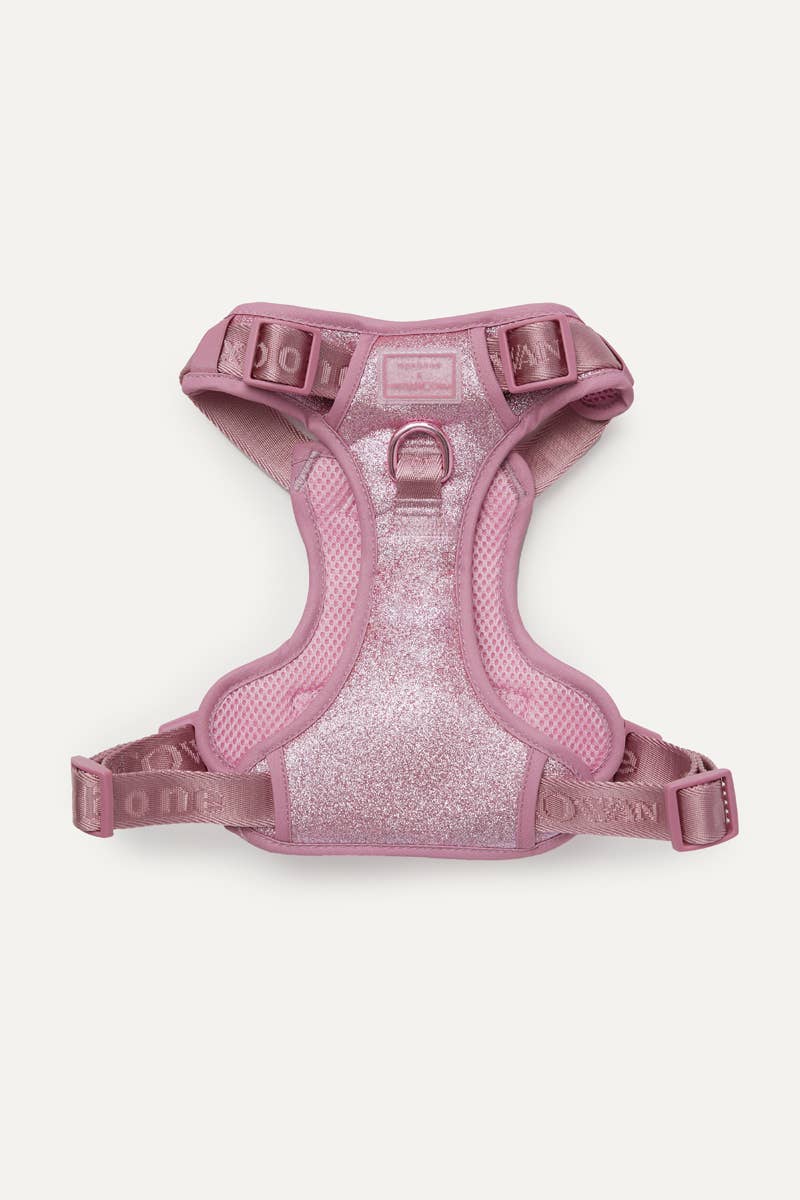 maxbone - Christian Cowan x maxbone Glitz Walk Set for Dogs: Medium