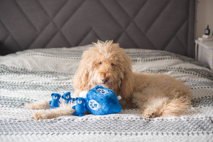 ZippyPaws - Hanukkah Burrow - Dreidel - Holiday Dog Toy