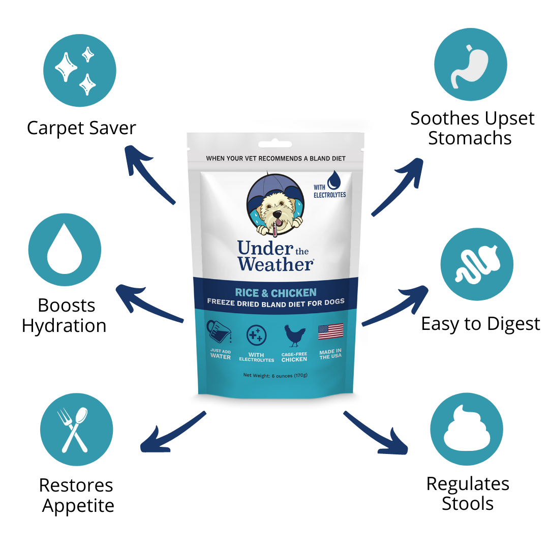 Under the Weather Pet - Chicken & Rice Bland Diet For Dogs