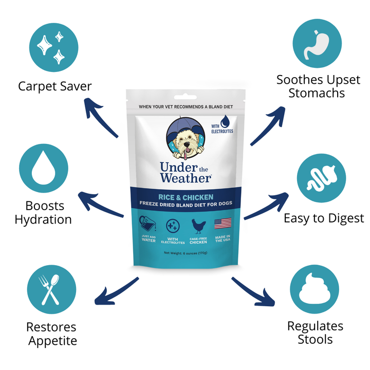 Under the Weather Pet - Chicken & Rice Bland Diet For Dogs