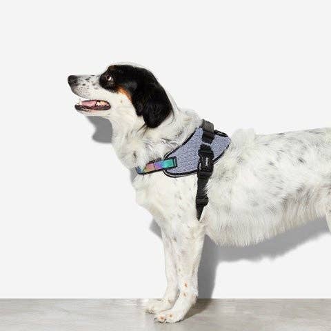 Zee.Dog - Urban | FlyHarness: Size 2