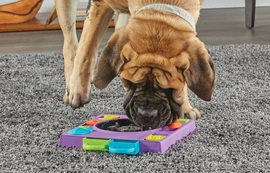 Hunger for Words and Brightkins - Brightkins™ DJ Turntable Puzzle Feeder
