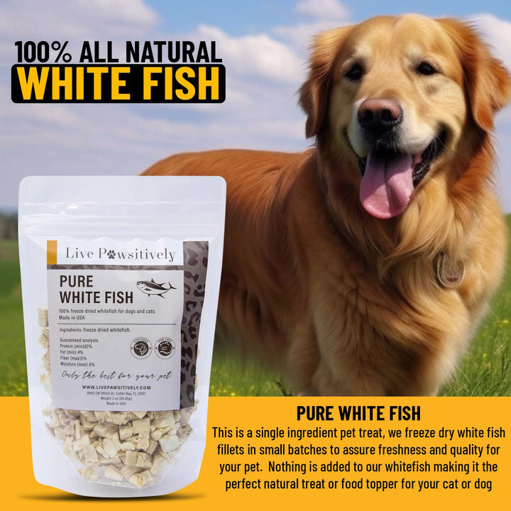 Live Pawsitive - White Fish Freeze Dried Dog/Cat Treat 3oz