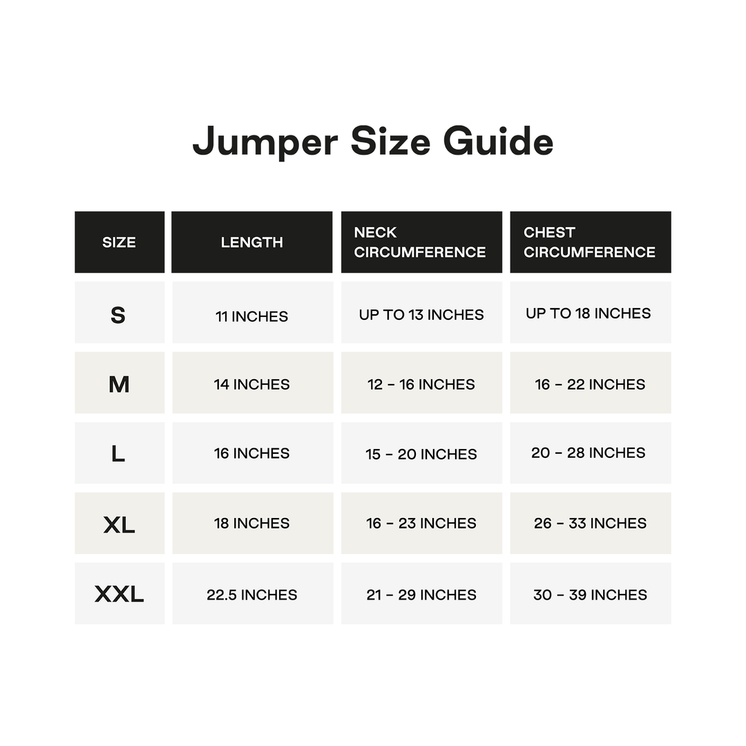 maxbone - Christian Cowan x maxbone Jumper for Dogs: Small / Mint