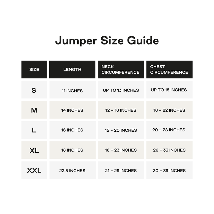 maxbone - Christian Cowan x maxbone Jumper for Dogs: Medium / Light Blue