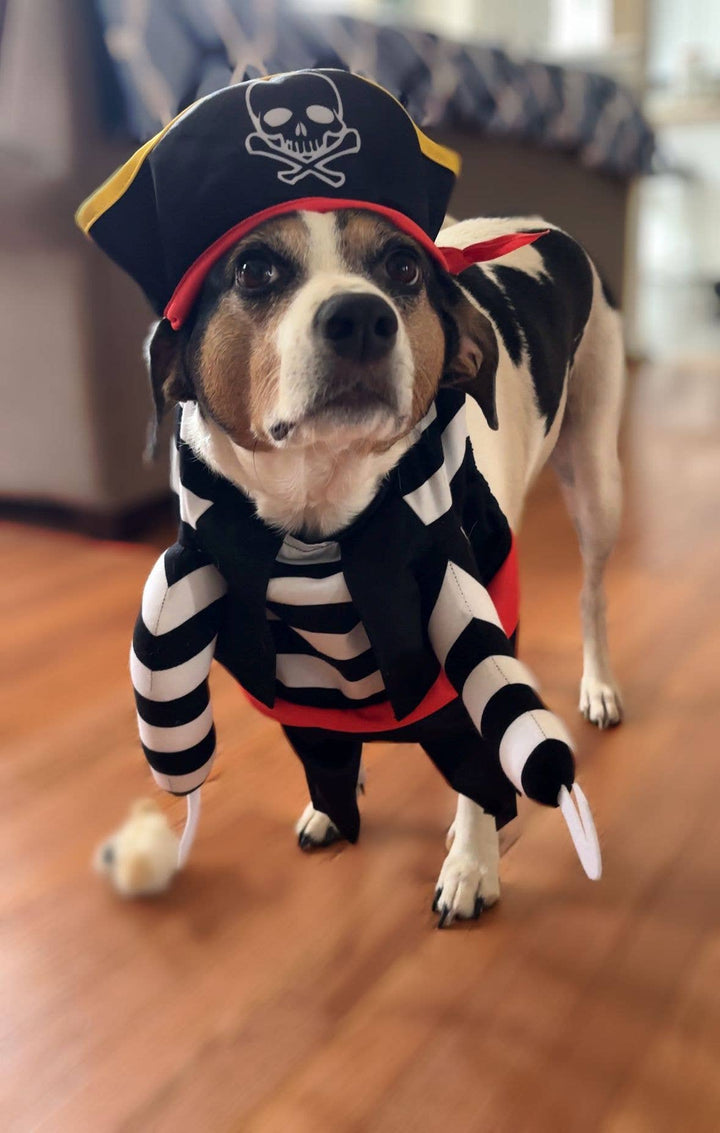 Show & Tail - Pet Apparel - Black Paw-Irate: L