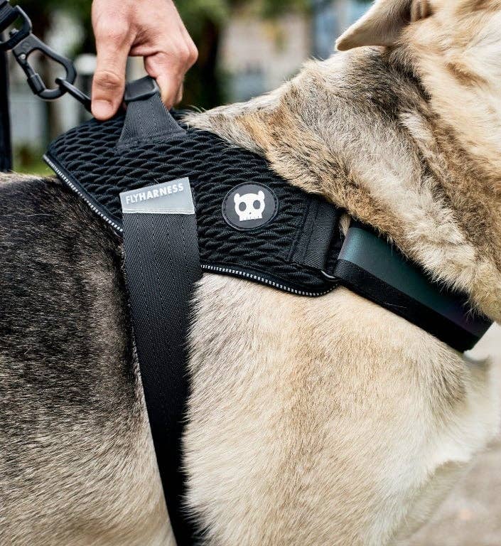 Zee.Dog - Gotham | FlyHarness: Size 2