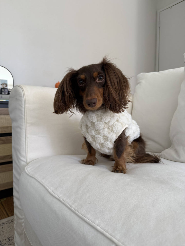 Lambwolf Collective - CROSBY//DOG CLOTHING//APPAREL: Cream / XL