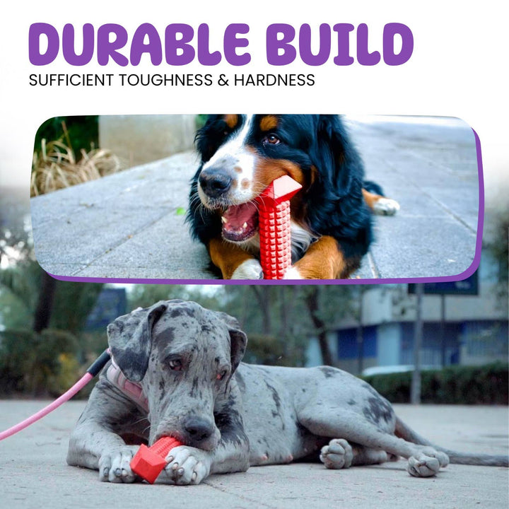 TOME DOG TOYS - SUPER DOG GIFT 3-Pack Dog Toys for Aggressive Chewers