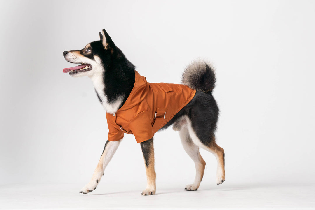 PEHOM - Raincoat - Orange: XS