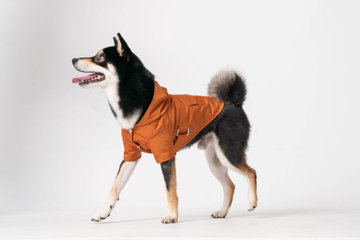 PEHOM - Raincoat - Orange: XL