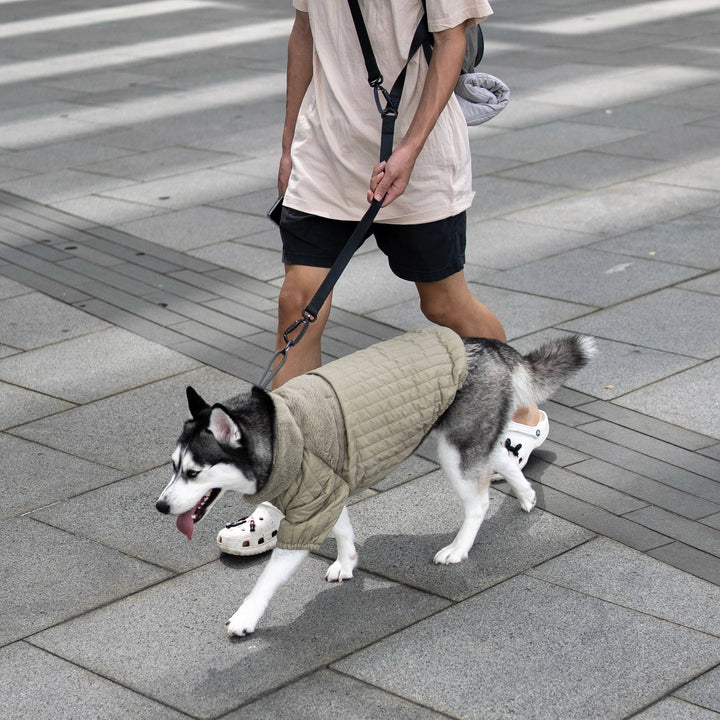Lambwolf Collective - SOHO//DOG CLOTHING//APPAREL: Fern / XS