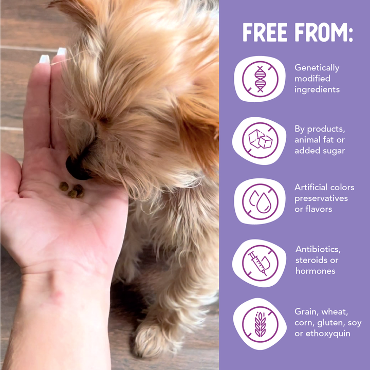 Health Extension Pet Care - Grain Free Salmon & Sweet Potato Little Bites Recipe: 3.5lb