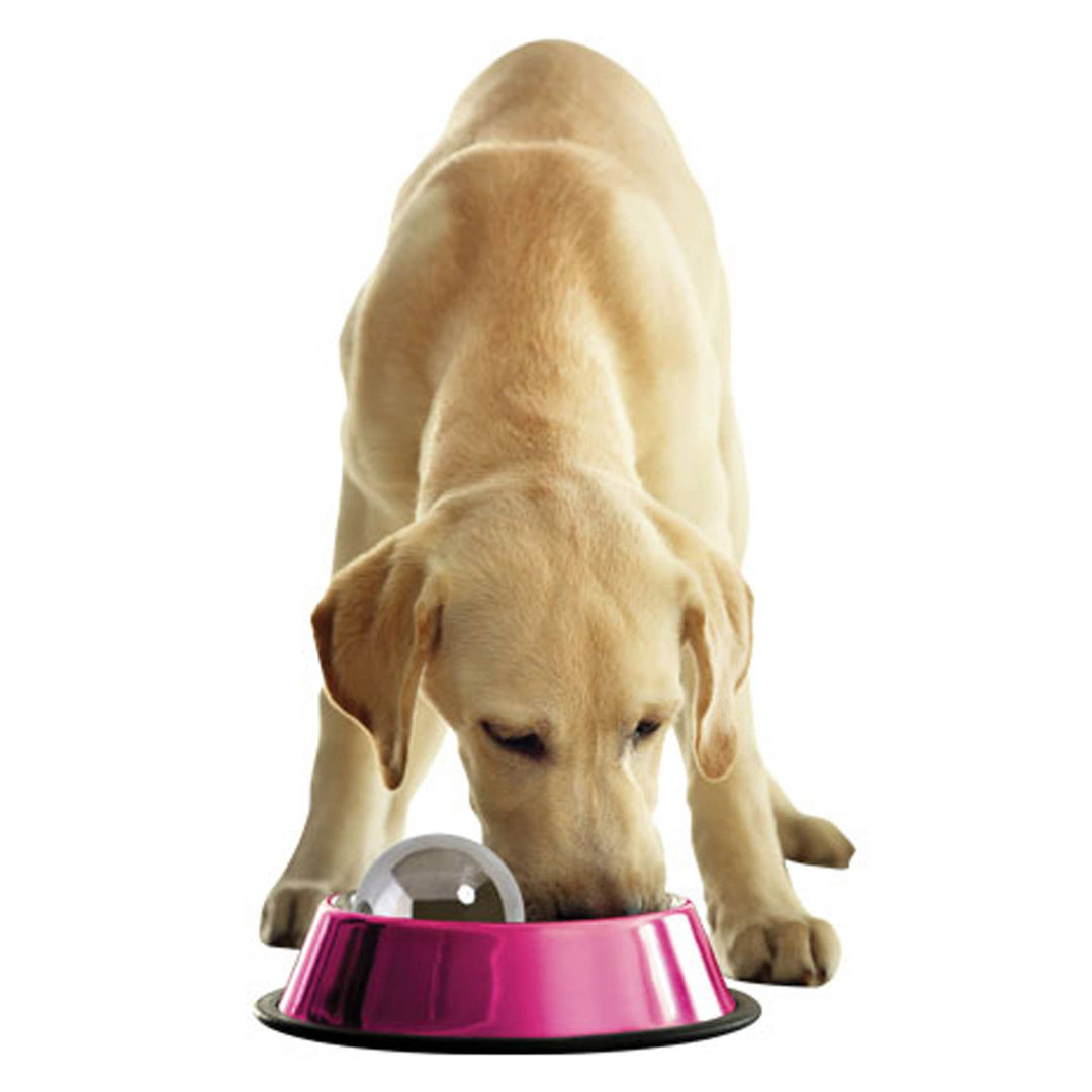 Klearwater Distribution - Portion Pacer Stainless Steel - Dog Hog - Stops Gulping: Small