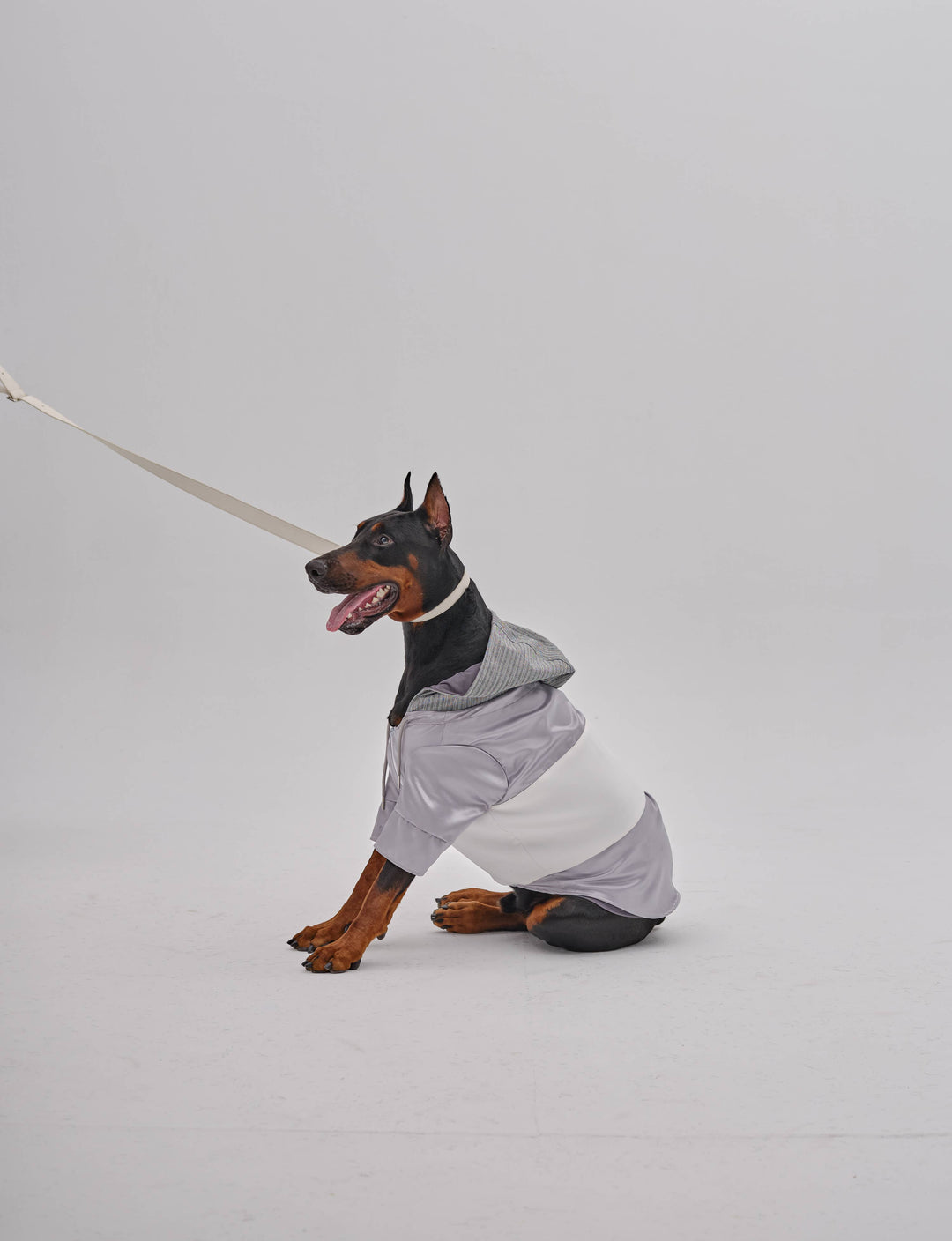 PEHOM - Pet Neoprene Zip Hoodie: M