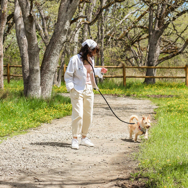 Bop Pop Pets - Onyx Hands-Free Rope Leash