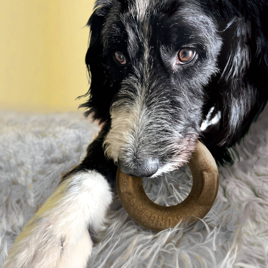 Pet Palette Distribution - KONG® Bamboo Rockerz Ring Dog Chew Toy Medium