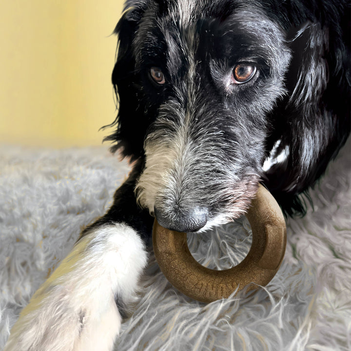 Pet Palette Distribution - KONG® Bamboo Rockerz Ring Dog Chew Toy Medium