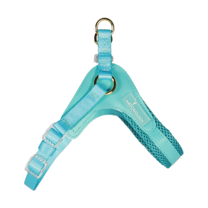 Cavology - DOG HARNESS STEP IN EASY ON MESH MANGO