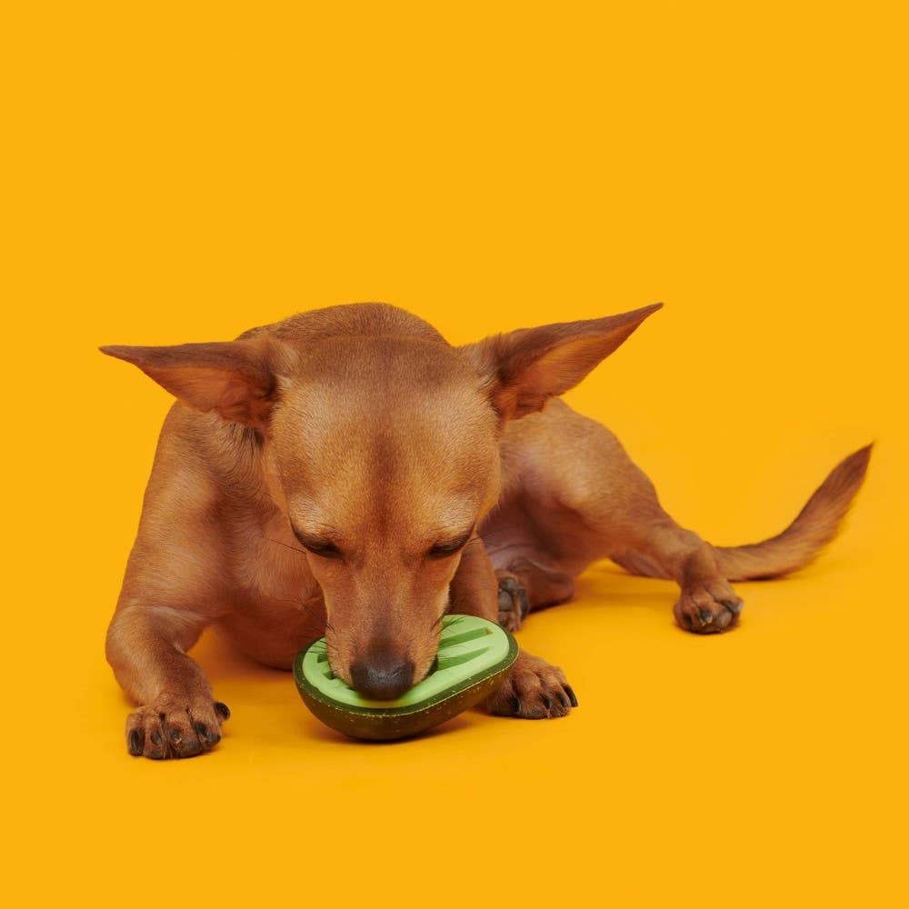 Pet Palette Distribution - BARK Avocadoggo Super Chewer Dog Toy