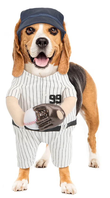 Show & Tail - Pet Apparel - The Home Ruff: M