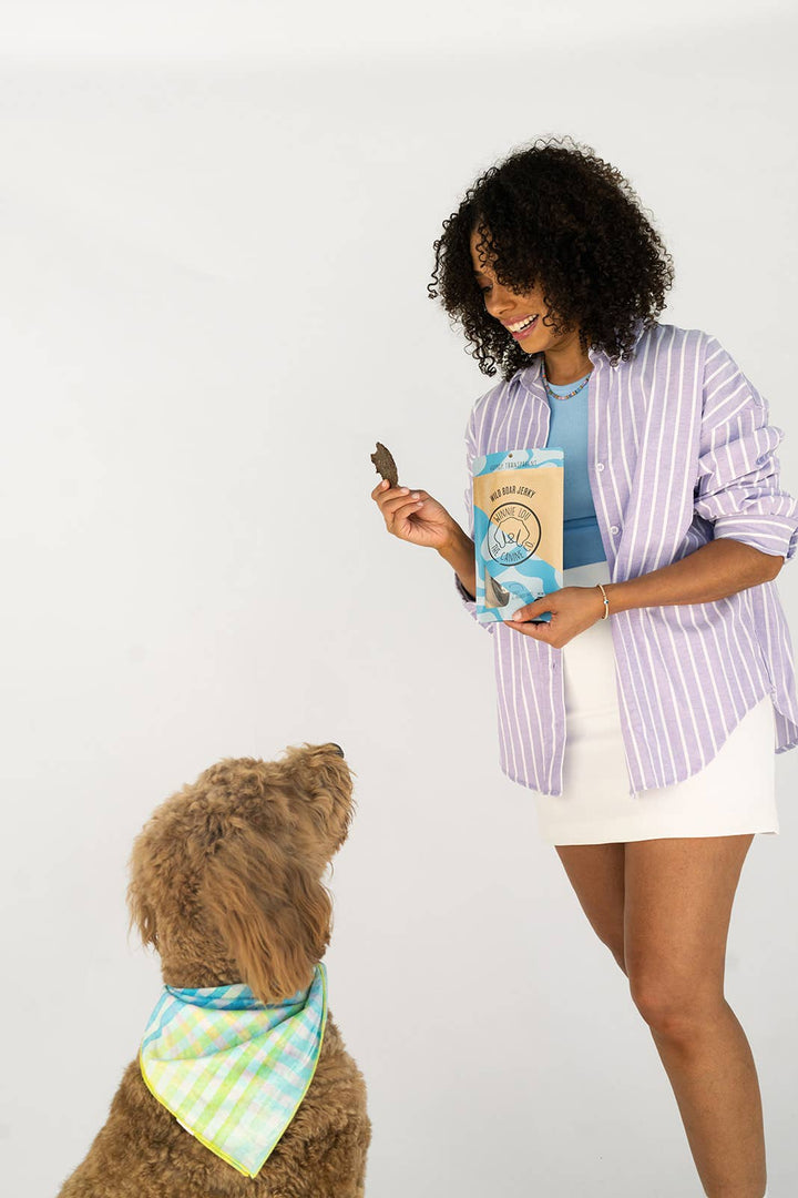 Winnie Lou - The Canine Co. - Wild Boar Jerky