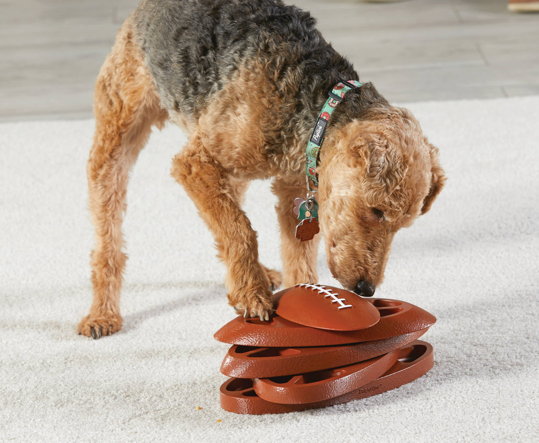 Hunger for Words and Brightkins - Brightkins™ Football Treat Puzzle