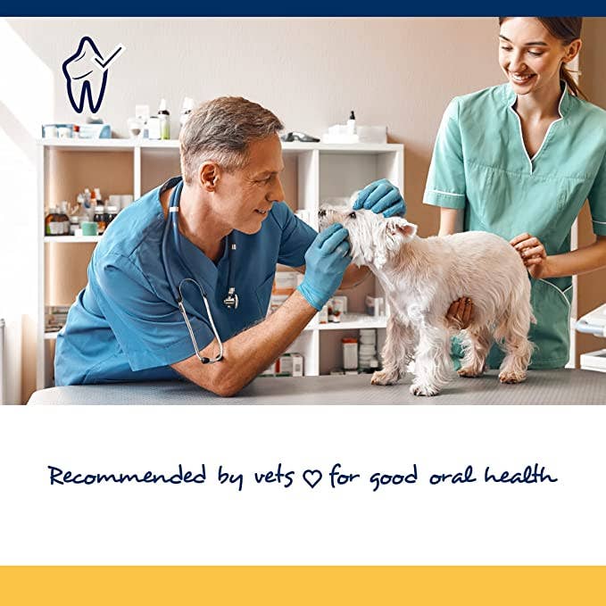 Pet Palette Distribution - PlaqueOff Soft Chews Small/Medium Breed 45ct