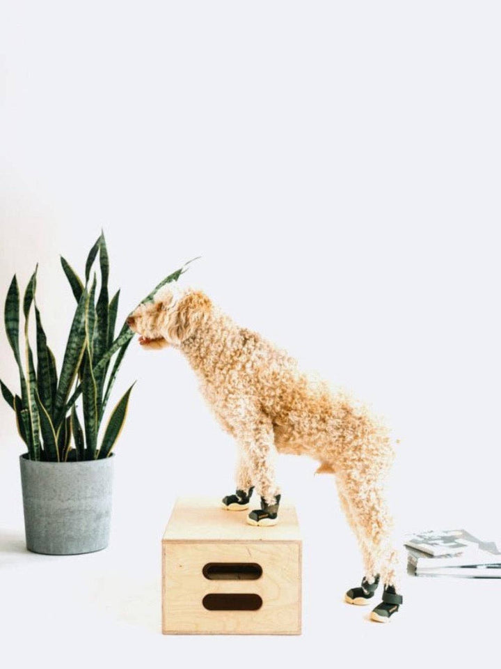 RIFRUF - Caesar 1: Black / 5