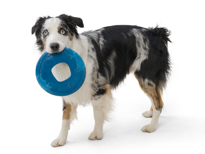 West Paw - Sailz® Dog Frisbee Fetch Toy: Large / Emerald